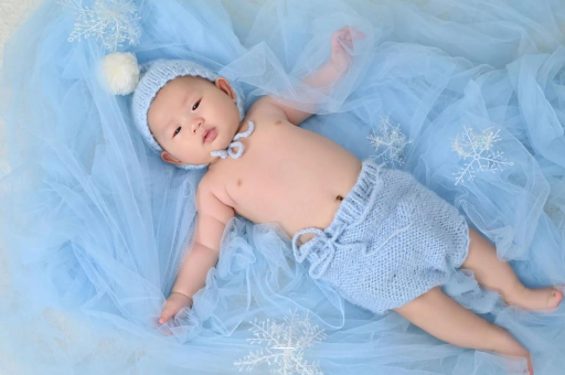 赵县宝宝树怎么样